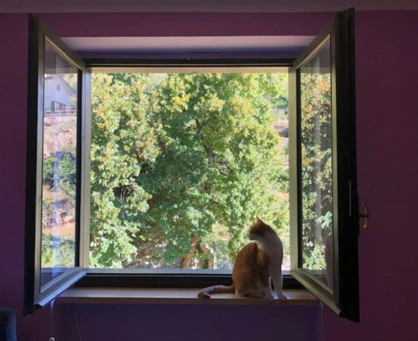 Casa Con Vista A Gravere Экстерьер фото